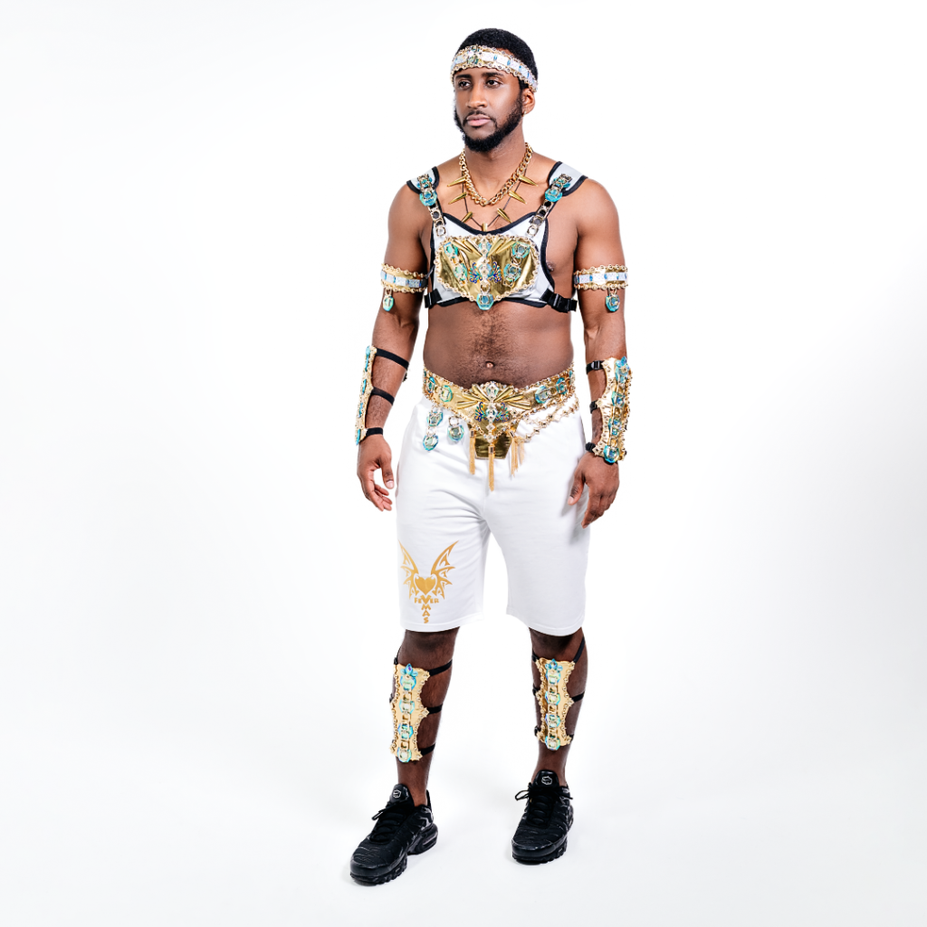 4_Saldenah_Carnival_fevermas_2024_Toronto_Carnival_Caribana_costume_Backline male